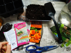 Таганрожцы, а что вы делаете в самоизоляции?