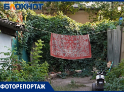 Экзотика Таганрога - ЖАКТовские дворики в нашем фоторепортаже