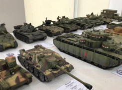 Таганрожцев приглашают на выставку моделей