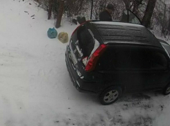 В Таганроге нашли «свинку», которая выбрасывает мусор, где понравится