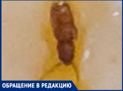 «Заказала суп, а нашла таракана» - жительница Таганрога сделала заказ в кафе «Пить кофе»