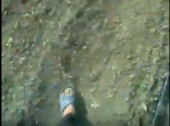 Таганрожцы весь день пропалывали траву в колхозных полях за 150 рублей