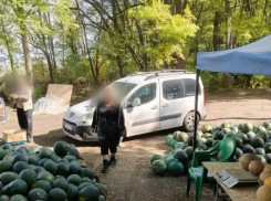 Зачистка продолжается: очередных нелегальных торговцев накрыли в Таганроге