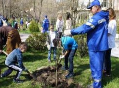 В Таганроге прошел очередной день древонасаждения 
