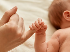 В многодетной семье Таганрога появился на свет четырнадцатый ребёнок 