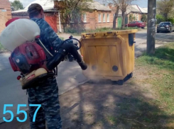 В Таганроге дезинфицируют мусорные контейнеры