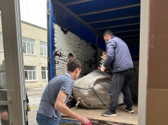 В Таганроге подведены итоги заочной городской акции  «Полезный сбор-2023»