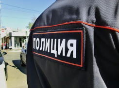 В Таганроге полиция разыскивает владельца медведя