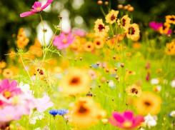 В  выходные дни в Таганроге жара спадет