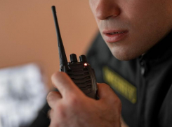 Необходимо ли в таганрогских школах усиление охраны