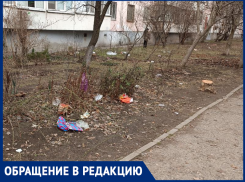 О культуре напоминает таганрожец  землякам 