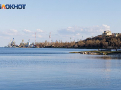 Беспрецедентный кризис: Азовское море и Таганрогский залив теряют свои рыбные запасы 