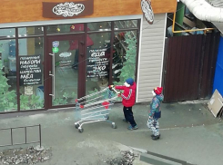 Юные воришки Таганрога украли тележку из Мармелада