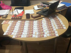 Таганрог обсуждает взятку Елены Лабуцкой