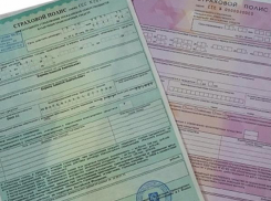 Полисы ОСАГО сменили цвет