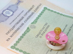 Власти Ростовской области за увеличение рождаемости