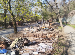 Решили промолчать: при сносе гаражей в Таганроге забыли о благоустройстве, а на обращения горожан ответов нет