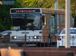 Льготники Таганрога могут выбрать между ежемесячной денежной выплатой и бесплатным проездом 