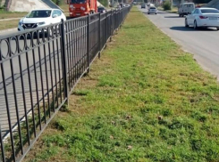 Более 10 млн рублей выделили в Таганроге на покос травы