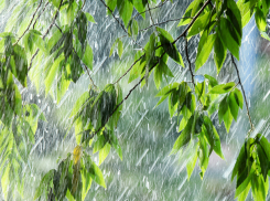 Экстренное предупреждение о сильном ветре и дожде с градом в Таганроге