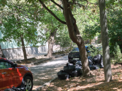 Так и не убрали за собой: кучи мусора на Гарибальди стали памятником безалаберности