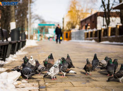 Снег с дождем, мороз и солнце ожидаются в Таганроге на этой неделе