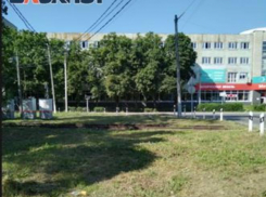 Во всех районах Таганрога проводится покос травы