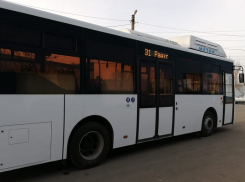 В Таганроге в будущем году на маршруты выйдут современные автобусы «Автолайн К»