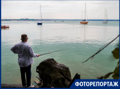 Стойкие рыбаки Таганрога мокнут под дождем, в ожидании улова