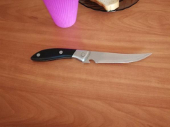 Под Таганрогом мать изрезала дочь кухонным ножом