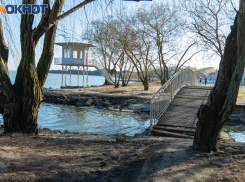 24 февраля — Коровий праздник: почему в этот день нельзя обижать животных и нужно накрывать стол