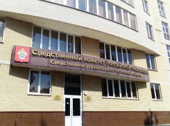 После освещения в СМИ следователи начали проверку по делу нерадивой матери десятерых детей из Неклиновского района