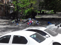 Жители Таганрога ждут от неравнодушных горожан уборки своей свалки