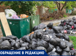 «Свиноты какие-то»: таганроженка в шоке от стихийной свалки во дворе на Западном