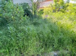 УК «Левада» понесёт наказание за нарушение правил благоустройства 