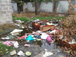 На улице Дзержинского в Таганроге уже наступил мусорный коллапс