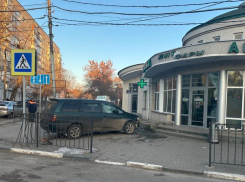 В Таганроге ДТП из-за бездомной собаки 