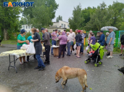 «Судьба – злодейка, а жизнь – копейка»: кому на Руси жить нехорошо
