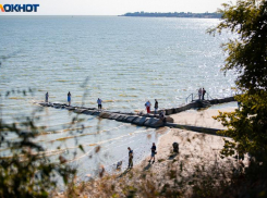 Как будто на Черном море: таганрогский залив стал солонее в два раза