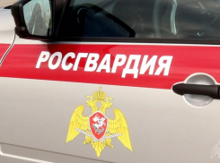 Росгвардейцы Таганрога задержали парня с девушкой, пытавшихся вскрыть гараж
