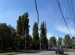 Оголённый провод на уровне лица - посреди улицы, таганрогские спасатели не спешат обезопасить горожан