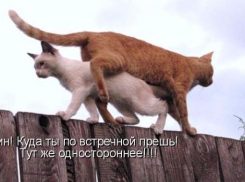 С завтрашнего дня на улице Киевской вводится одностороннее движение транспорта