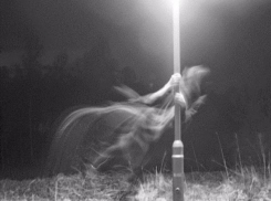 Мясниковское привидение озадачило местных жителей