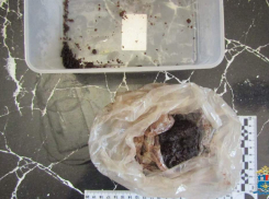 Таганрожцы “химичили” в собственной квартире