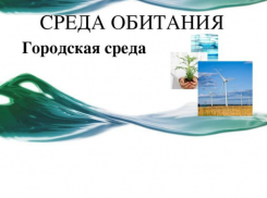 Таганрог – «лидер» по  качеству городской среды