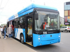 В Таганроге появятся 10 новых троллейбусов