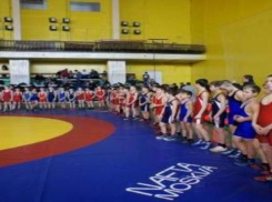 Таганрогские спортсмены  завоевали 10 медалей в турнире по греко- римской борьбе