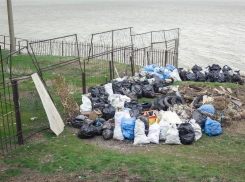 Таганрожцев приглашают завтра утром на субботник в Богудонию