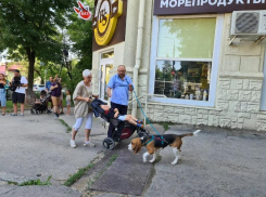 Каждый ездил на коляске