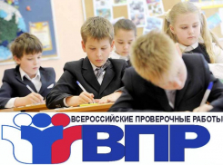 В Таганроге стартовали Всероссийские проверочные работы